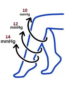 Solid Lavender Compression Knee High