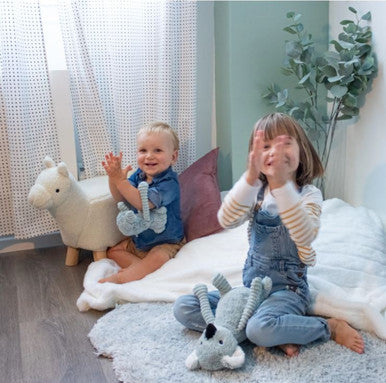 Chicco | Plush Les Ptipotos- Koala