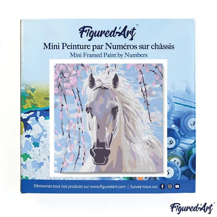 Figured'Art | Mini Paint By Numbers Framed - White Horse And Flowers